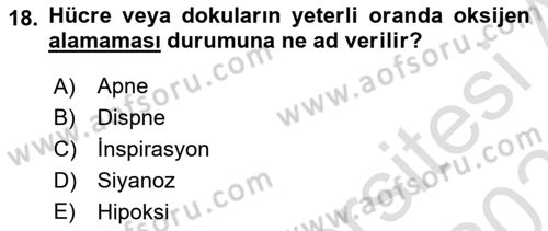 Temel Sağlık Hizmetleri Dersi 2021 - 2022 Yılı (Final) Dönem Sonu Sınav Soruları 18. Soru