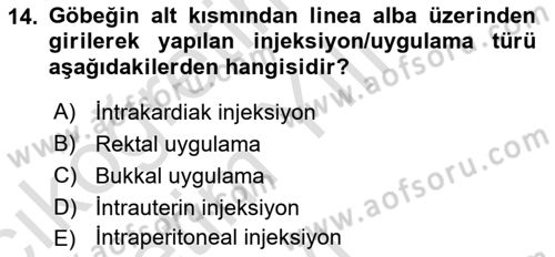 Temel Sağlık Hizmetleri Dersi 2021 - 2022 Yılı Yaz Okulu Sınav Soruları 14. Soru