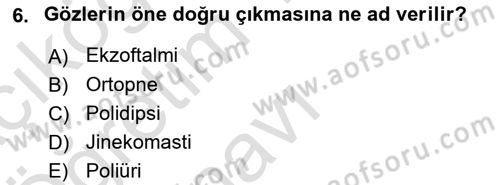 Temel Sağlık Hizmetleri Dersi 2021 - 2022 Yılı Yaz Okulu Sınav Soruları 6. Soru