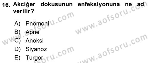 Temel Sağlık Hizmetleri Dersi 2022 - 2023 Yılı Yaz Okulu Sınav Soruları 16. Soru