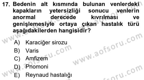 Temel Sağlık Hizmetleri Dersi 2022 - 2023 Yılı Yaz Okulu Sınav Soruları 17. Soru