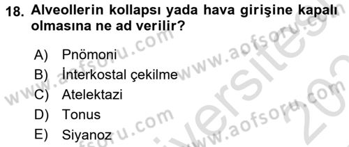 Temel Sağlık Hizmetleri Dersi 2022 - 2023 Yılı Yaz Okulu Sınav Soruları 18. Soru