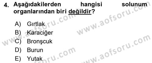 Temel Sağlık Hizmetleri Dersi 2022 - 2023 Yılı Yaz Okulu Sınav Soruları 4. Soru