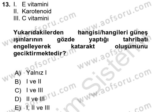 Temel Sağlık Hizmetleri Dersi 2023 - 2024 Yılı (Vize) Ara Sınav Soruları 13. Soru