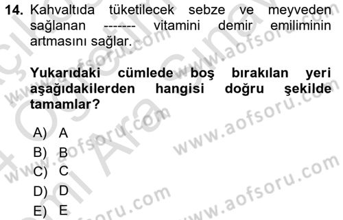 Temel Sağlık Hizmetleri Dersi 2023 - 2024 Yılı (Vize) Ara Sınav Soruları 14. Soru