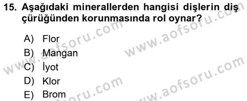Temel Sağlık Hizmetleri Dersi 2023 - 2024 Yılı (Vize) Ara Sınav Soruları 15. Soru