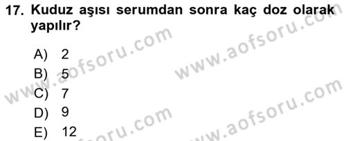 Temel Sağlık Hizmetleri Dersi 2023 - 2024 Yılı (Vize) Ara Sınav Soruları 17. Soru