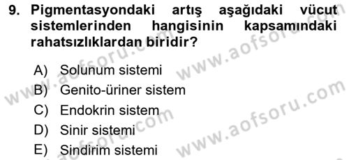 Temel Sağlık Hizmetleri Dersi 2023 - 2024 Yılı (Vize) Ara Sınav Soruları 9. Soru