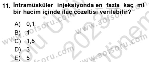 Temel Sağlık Hizmetleri Dersi 2023 - 2024 Yılı (Final) Dönem Sonu Sınav Soruları 11. Soru