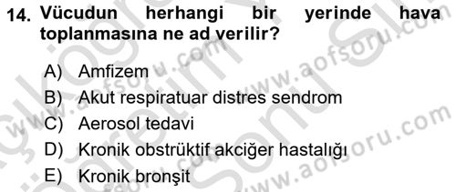Temel Sağlık Hizmetleri Dersi 2023 - 2024 Yılı (Final) Dönem Sonu Sınav Soruları 14. Soru