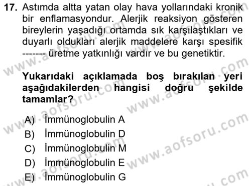 Temel Sağlık Hizmetleri Dersi 2023 - 2024 Yılı (Final) Dönem Sonu Sınav Soruları 17. Soru