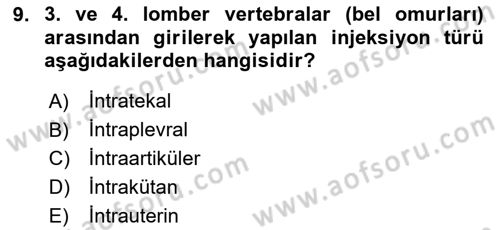 Temel Sağlık Hizmetleri Dersi 2023 - 2024 Yılı (Final) Dönem Sonu Sınav Soruları 9. Soru