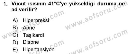 Temel Sağlık Hizmetleri Dersi 2023 - 2024 Yılı Yaz Okulu Sınav Soruları 1. Soru