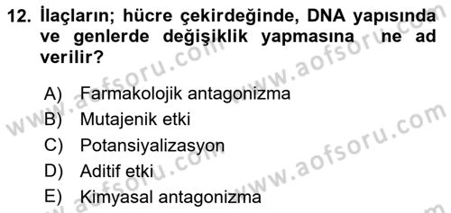 Temel Sağlık Hizmetleri Dersi 2023 - 2024 Yılı Yaz Okulu Sınav Soruları 12. Soru