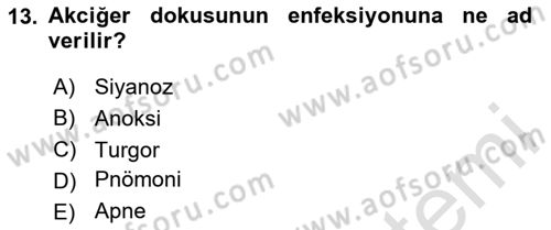 Temel Sağlık Hizmetleri Dersi 2023 - 2024 Yılı Yaz Okulu Sınav Soruları 13. Soru