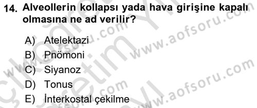 Temel Sağlık Hizmetleri Dersi 2023 - 2024 Yılı Yaz Okulu Sınav Soruları 14. Soru