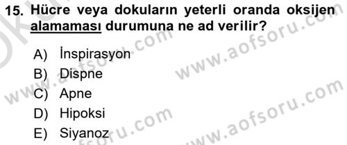 Temel Sağlık Hizmetleri Dersi 2023 - 2024 Yılı Yaz Okulu Sınav Soruları 15. Soru