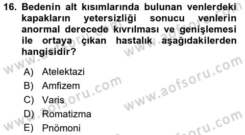 Temel Sağlık Hizmetleri Dersi 2023 - 2024 Yılı Yaz Okulu Sınav Soruları 16. Soru