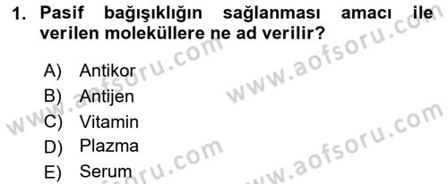 Temel Sağlık Hizmetleri Dersi 2024 - 2025 Yılı (Vize) Ara Sınav Soruları 1. Soru