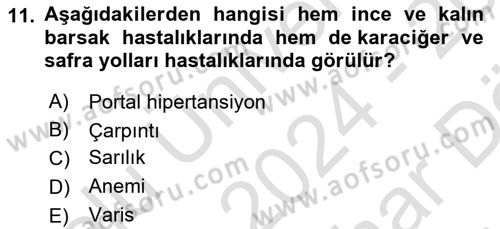 Temel Sağlık Hizmetleri Dersi 2024 - 2025 Yılı (Vize) Ara Sınav Soruları 11. Soru