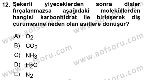 Temel Sağlık Hizmetleri Dersi 2024 - 2025 Yılı (Vize) Ara Sınav Soruları 12. Soru