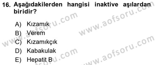 Temel Sağlık Hizmetleri Dersi 2024 - 2025 Yılı (Vize) Ara Sınav Soruları 16. Soru