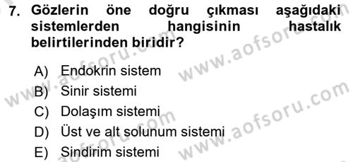 Temel Sağlık Hizmetleri Dersi 2024 - 2025 Yılı (Vize) Ara Sınav Soruları 7. Soru