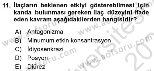 Temel Sağlık Hizmetleri Dersi 2024 - 2025 Yılı (Final) Dönem Sonu Sınav Soruları 11. Soru