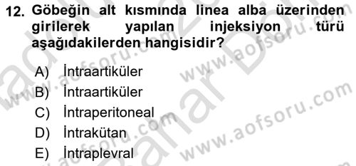 Temel Sağlık Hizmetleri Dersi 2024 - 2025 Yılı (Final) Dönem Sonu Sınav Soruları 12. Soru