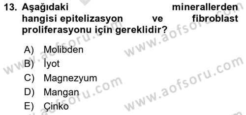 Temel Sağlık Hizmetleri Dersi 2024 - 2025 Yılı (Final) Dönem Sonu Sınav Soruları 13. Soru