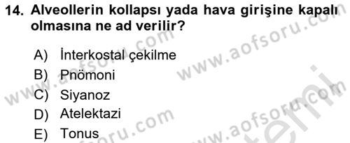 Temel Sağlık Hizmetleri Dersi 2024 - 2025 Yılı (Final) Dönem Sonu Sınav Soruları 14. Soru