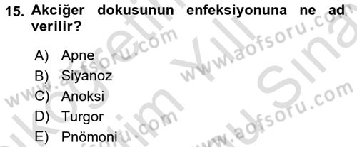 Temel Sağlık Hizmetleri Dersi 2024 - 2025 Yılı (Final) Dönem Sonu Sınav Soruları 15. Soru