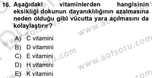 Temel Sağlık Hizmetleri Dersi 2024 - 2025 Yılı (Final) Dönem Sonu Sınav Soruları 16. Soru