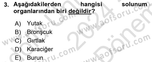 Temel Sağlık Hizmetleri Dersi 2024 - 2025 Yılı (Final) Dönem Sonu Sınav Soruları 3. Soru
