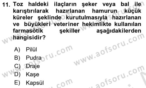 Temel Sağlık Hizmetleri Dersi 2024 - 2025 Yılı Yaz Okulu Sınav Soruları 11. Soru