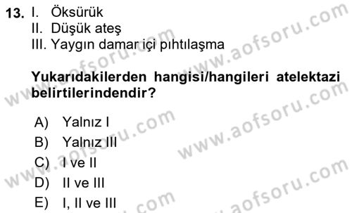 Temel Sağlık Hizmetleri Dersi 2024 - 2025 Yılı Yaz Okulu Sınav Soruları 13. Soru