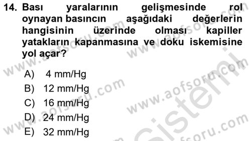 Temel Sağlık Hizmetleri Dersi 2024 - 2025 Yılı Yaz Okulu Sınav Soruları 14. Soru
