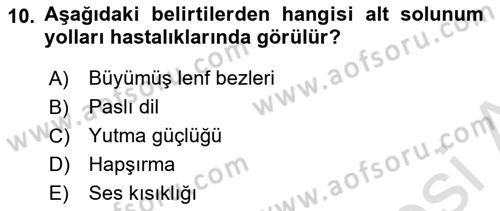 Temel Sağlık Hizmetleri Dersi 2025 - 2026 Yılı (Vize) Ara Sınav Soruları 10. Soru