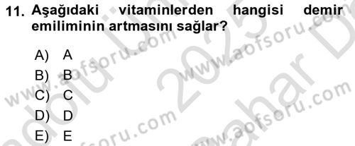 Temel Sağlık Hizmetleri Dersi 2025 - 2026 Yılı (Vize) Ara Sınav Soruları 11. Soru