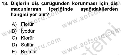 Temel Sağlık Hizmetleri Dersi 2025 - 2026 Yılı (Vize) Ara Sınav Soruları 13. Soru