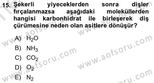 Temel Sağlık Hizmetleri Dersi 2025 - 2026 Yılı (Vize) Ara Sınav Soruları 15. Soru