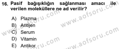 Temel Sağlık Hizmetleri Dersi 2025 - 2026 Yılı (Vize) Ara Sınav Soruları 16. Soru