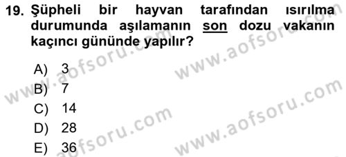 Temel Sağlık Hizmetleri Dersi 2025 - 2026 Yılı (Vize) Ara Sınav Soruları 19. Soru