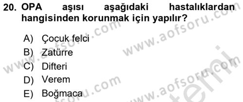Temel Sağlık Hizmetleri Dersi 2025 - 2026 Yılı (Vize) Ara Sınav Soruları 20. Soru