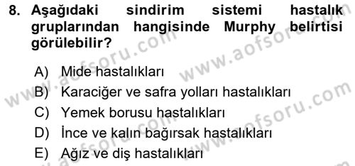 Temel Sağlık Hizmetleri Dersi 2025 - 2026 Yılı (Vize) Ara Sınav Soruları 8. Soru