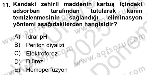 Temel Sağlık Hizmetleri Dersi 2025 - 2026 Yılı (Final) Dönem Sonu Sınav Soruları 11. Soru