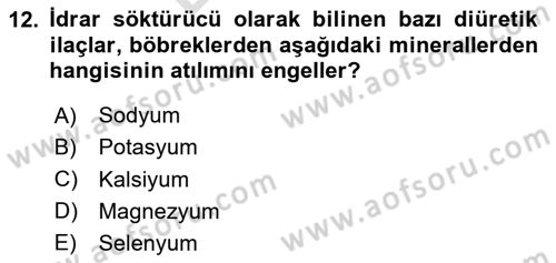 Temel Sağlık Hizmetleri Dersi 2025 - 2026 Yılı (Final) Dönem Sonu Sınav Soruları 12. Soru