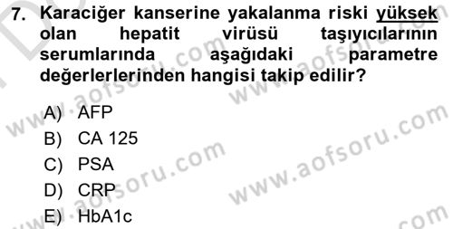 Temel Sağlık Hizmetleri Dersi 2025 - 2026 Yılı (Final) Dönem Sonu Sınav Soruları 7. Soru