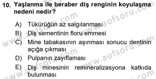 Temel Bakım Hizmetleri Dersi 2023 - 2024 Yılı (Final) Dönem Sonu Sınav Soruları 10. Soru
