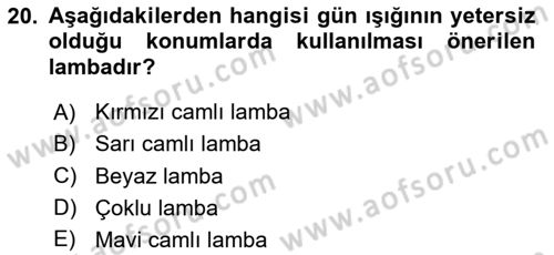 Temel Bakım Hizmetleri Dersi 2023 - 2024 Yılı (Final) Dönem Sonu Sınav Soruları 20. Soru
